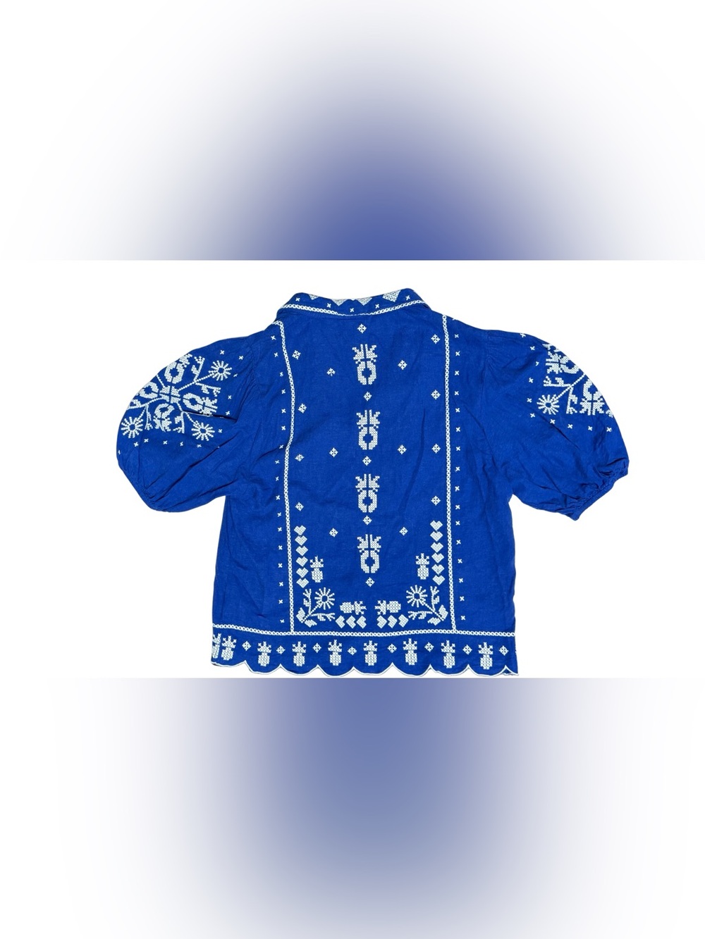 Farm Rio- Blue Embroidered Short-Sleeve Button-Up Shirt - Picture 12 of 16